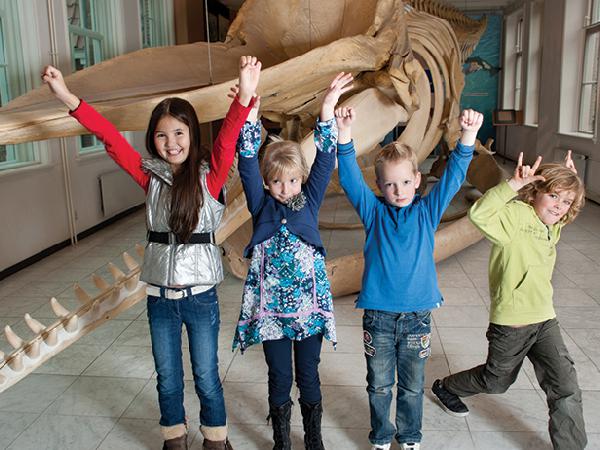 Bij een bezoek aan het museum kunt u het potvisskelet moilijk missen - het meet maarliefst 15 meter.
