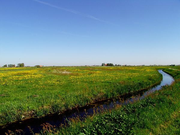 Wie de tijd neemt, ontdekt dat water, riet en gras vol leven zitten.